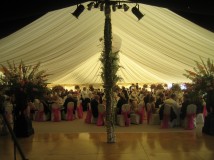 Marquee Lining Sales